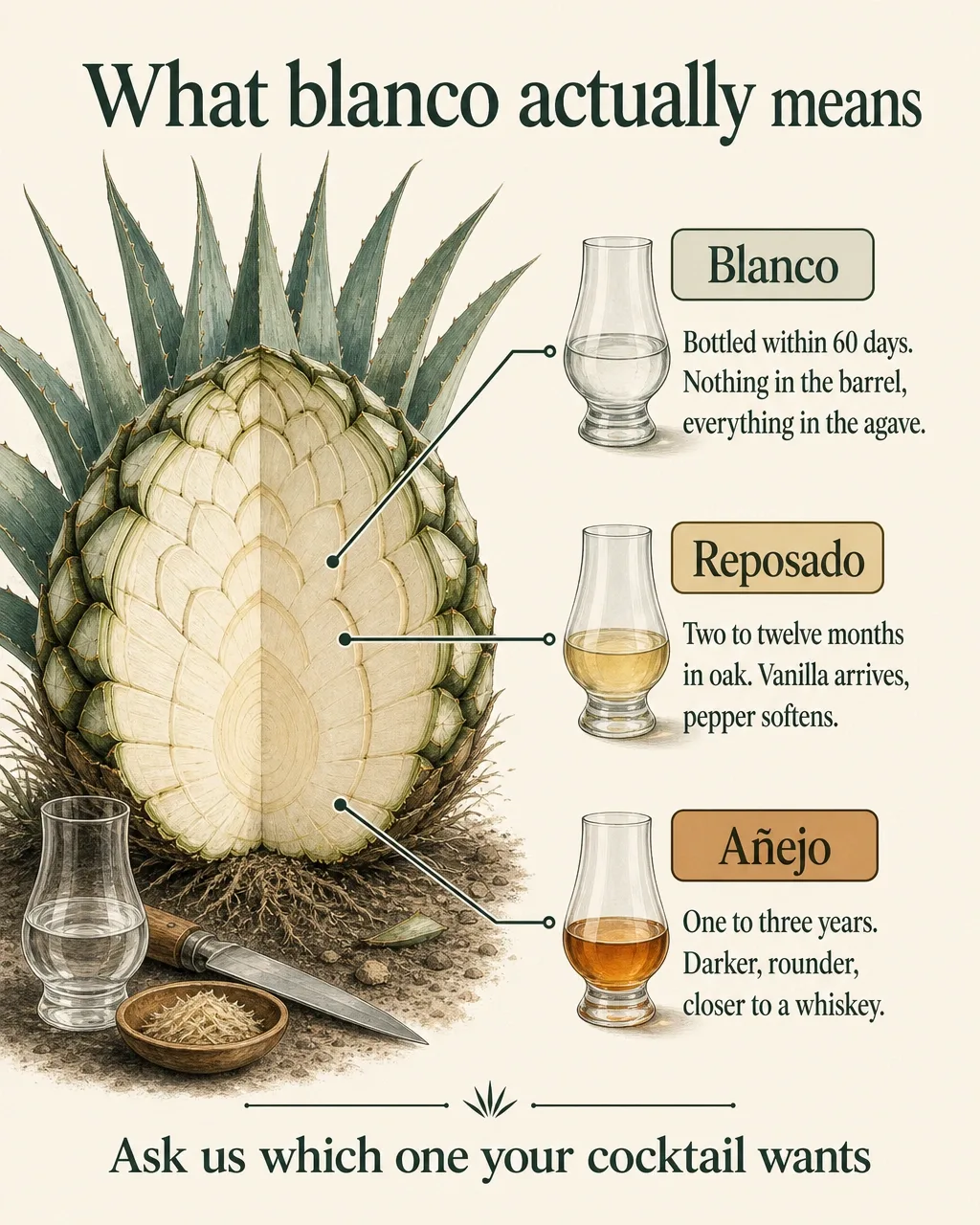 An educational post explaining blanco, reposado and añejo tequila as a labelled diagram