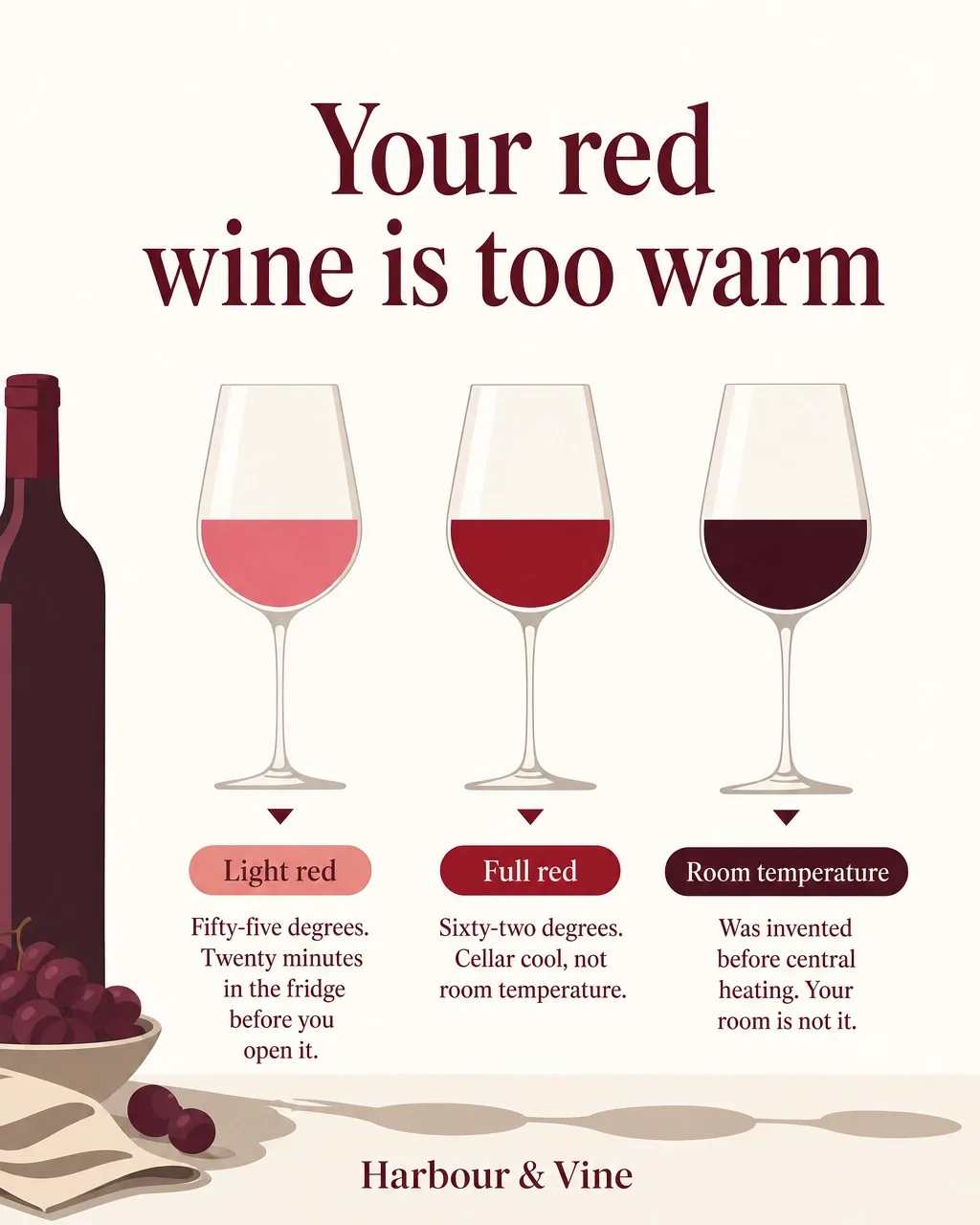 An educational post about red wine serving temperatures, drawn as flat vector glasses